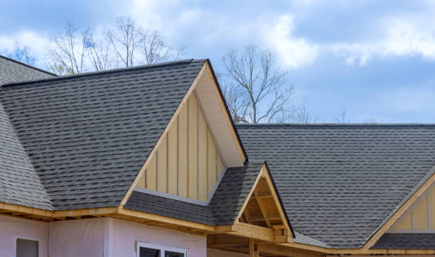 Best Roof Moss and Algae Removal  in Greenville, GA